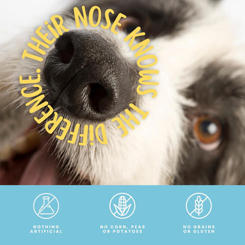 hotspot pets All-Natural Cow Ears Dog Chews - Long-Lasting Single Ingredient Treat for Healthy Teeth & Gums, Perfect