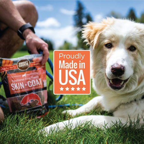 All Natural Dog Treats - Healthy Skin & Coat Salmon Treats - Dehydrated, Crunchy, Human-Grade, 8oz, Pack of 1