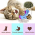 Catnip Toys for Indoor Cats - Interactive Chew Bite Kick Toys Set of 6 - Gifts for Cat Lovers - Lobster Octopus Crab