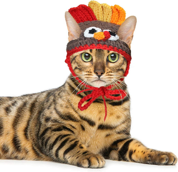 Rypet Cat Turkey Costume, Pet Turkey Hat Thanksgiving Apparel for Cats and Small Dogs