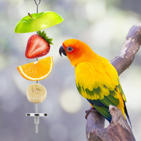 Bird Food Holder Stainless Steel Skewer for Parrots, Cockatoo, Cockatiel Cage Treating Tool (L: 7.86 inch)