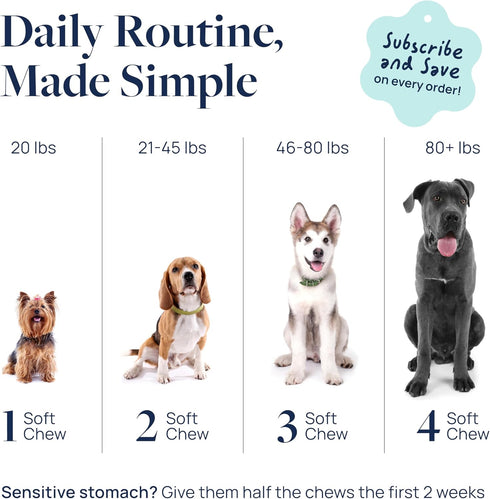 60 Veterinary Formula Dental Health Supplement for Dogs Vet-Formulated Chews with EpiCor & Kelp Smart Vitality Supports
