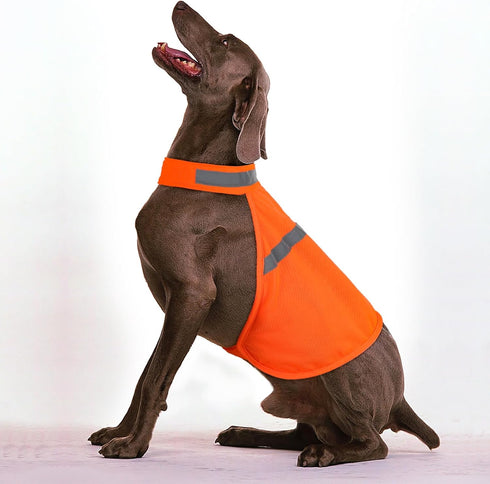 Dog Jacket High Visibility Reflective Vest for Small Medium Large Dogs (Large, Orange)