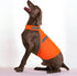 Dog Jacket High Visibility Reflective Vest for Small Medium Large Dogs (Large, Orange)