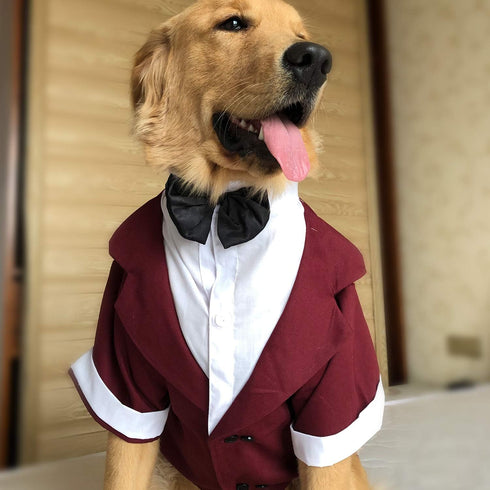 Lovelonglong Pet Costume Dog Suit, Formal Tuxedo with Black Bow Tie for Large Medium Small Dogs and Cats