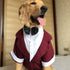 Lovelonglong Pet Costume Dog Suit, Formal Tuxedo with Black Bow Tie for Large Medium Small Dogs and Cats