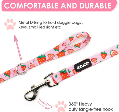 azuza Dog Collar and Leash Set - Cute Strawberry Patterns on Pink Nylon Collar and Matching Leash
