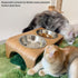 4 Pcs Stainless Steel Cat Bowls - 5.5 Inches Metal Cat Food Bowls for Indoor Cats, Whisker Fatigue Design