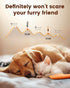 Trimmer, PAPMINI Dog Grooming Kit With Paw Low Noise Cordless Clippers for Thick Hair, Rechargeable Shaver for Pets