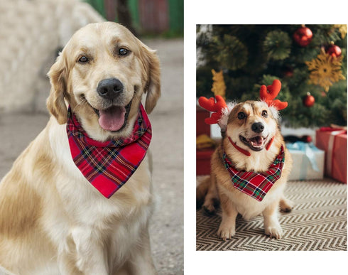 Christmas Plaid Dog Bandana with Button - Dual Layer Scarf Soft Cotton Triangle Bib for Small Medium Large Extra Large