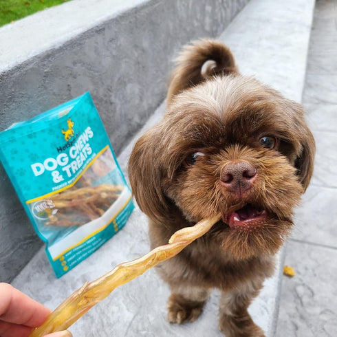hotspot pets Beef Tendon Chews for Dogs (10 Pack) - 8 Inch All Natural, Grass-Fed Premium USDA Beef Stick Treats