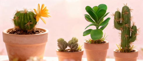 QuarenDen 4 Fake Reptile Plants, Desert Reptile Plants Succulent kit, Reptile Terrarium Decorative, Pcs, Faux Cactus