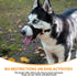 BARKLESS Soft Dog Head Collar, No Pull Training Tool for Small Dogs, Gentle Halter for Heavy Pullers