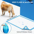 CROCI Dog Pads XXL, 30x36in, Heavy Absorbency Pee Pads, 6-Layer Leak-Proof, Disposable (40 Counts)