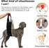20-150lb Dog Sling for Large Dogs, Heavy Duty Portable Lift Harness, Black, Large, Hind Leg Support