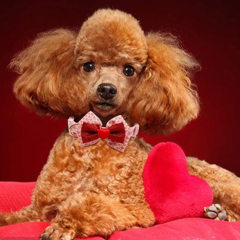 azuza Valentine's Day Dog Collar - Removable Bowtie with Pink Sparkly Hearts Pattern for Small Dogs