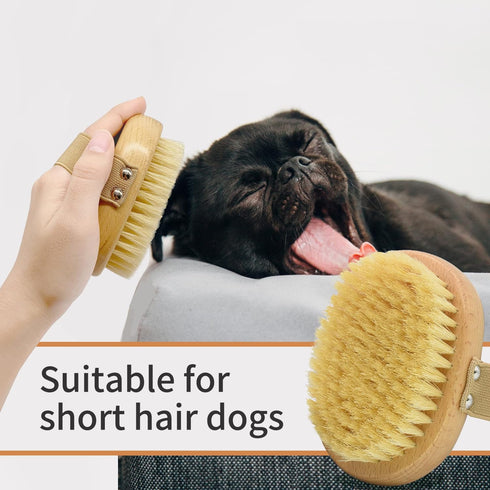 Soft Bristle Dog Brush for Short Haired Cats and Dogs, Natural Bristle Palm Brush with Elastic Band