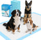 Ownpets XXXXL Puppy Training Pad 47"x31" 20 Count, Extra Large Giant Dog