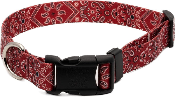 Country Brook Petz Deluxe Red Bandana Dog Collar, Made in The U.S.A., Rustic Designs (1 Inch, Medium)