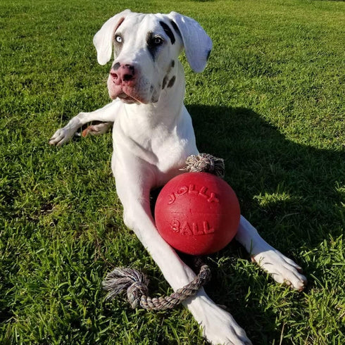 Jolly Pets Romp-n-Roll Dog Toy, 8 Inches/Large, Rope and Ball, Red (608 RD)