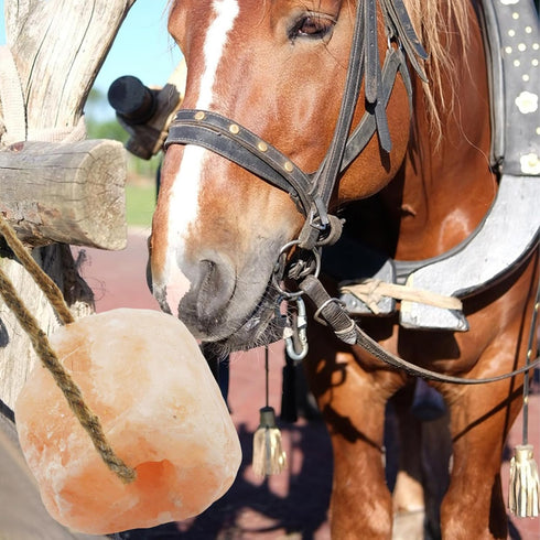 Pack 3,Himalayan Livestock(10.55-12 LBS) kathson Hanging Salt Lick for Horses of Salt Blocks for Horse Natural Organic