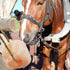 Pack 3,Himalayan Livestock(10.55-12 LBS) kathson Hanging Salt Lick for Horses of Salt Blocks for Horse Natural Organic
