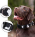 Rhea Rose Cow Print Dog Collar, Animal Pattern in White and Black for Large Dogs