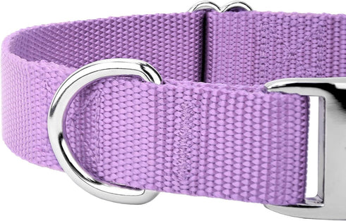 Country Brook Petz Premium Nylon Dog Collar with Metal Buckle for Small Medium Large Breeds (Large, 1 Inch, Lavender)
