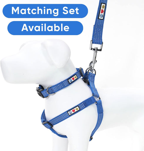 Pawtitas 6 FT Reflective Dog Leash - Comfortable Handle, Heavy Duty Dog Training Leash
