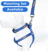 Pawtitas 6 FT Reflective Dog Leash - Comfortable Handle, Heavy Duty Dog Training Leash