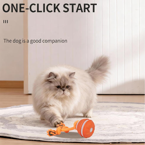 SPGSWCY 2-Pack Interactive Dog & Cat Toys for Small Dogs Indoor Cats - Auto Moving Balls with Chirping Squeaky Sounds