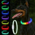 Light Up Dog Collar, Multi-Color USB C Rechargeable LED Collar, High Visibility Glow in The Dark for Small Medium Large