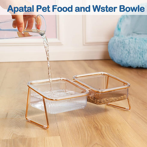 Elevated Double Cat Bowls, 5.7" Pets Water and Food Bowl, 15° Tilted Transparent Raised Dishes with Iron Stand, Rose