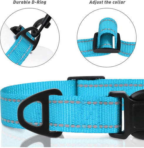 TagME Adjustable Reflective Nylon Dog Collars, Quick Release Buckle for Medium Dogs, Sky Blue, 1.0" Width