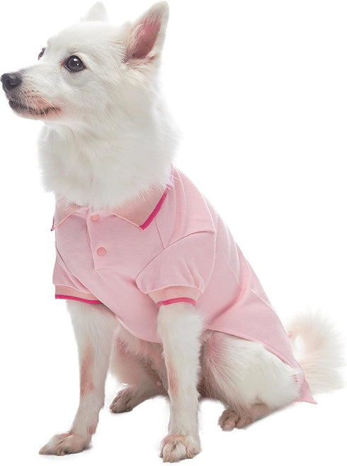 Blueberry Pet Back to School 2-Pack Dog Polo Shirts, Cotton Outfit for Small Pets, Amaranth Red + Pink