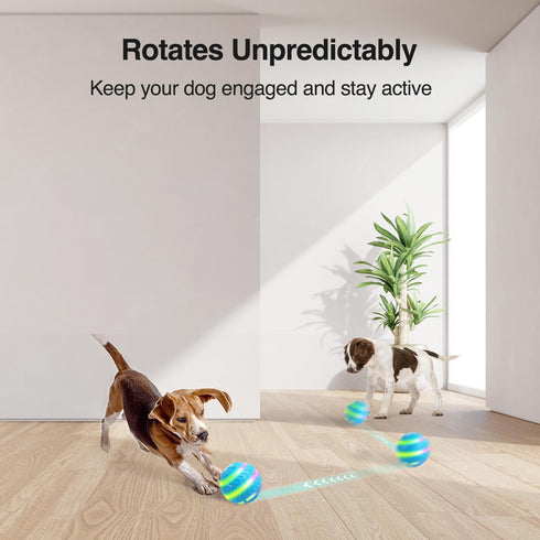 ALL FOR PAWS Interactive LED Dog Ball, Motion Activated Moving Toy for Day/Night Play, USB Rechargeable