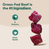 Immune 11.5lb Jinx Premium Dry Dog Food, for All Lifestages - Real Beef, Brown Rice & Sweet Potato Kibble