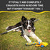 Flirt Pole for Dogs - Safe & Strong for Large Breeds - Heavy-Duty Teaser Wand for Tug of War and Puppy Training
