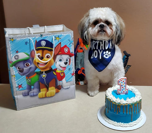 Dog Birthday Boy Bandana for Celebrating Your Pet's Special Day