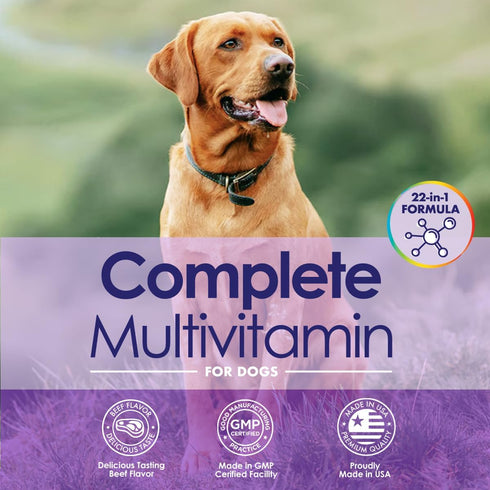 22 1 3 Immune 60 Dog Multivitamin Chewable - in Dog Vitamins and Supplements with Green Lipped Mussel & Omega