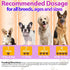 24 1 200 Omega-3 Immune Carmelie Dog Vitamins, in Dog Vitamins and Supplements, Chews with Glucosamine Probiotics Puppy