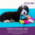 (1 Count, 6, Multipet Original Loofa Dog Plush Toy - Squeaky Toy for All Dogs - Extra Soft Plush - Stuffed Animal Dog