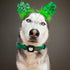 Elegant little tail Airtag Dog Collar, St Patrick's Day Pet Collar with Airtag Holder, Adjustable Cute Puppy Collar for
