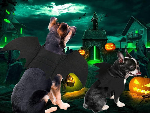 Halloween Costumes - Bat Wings for Small, Medium & Large Dogs & Cats | Funny Pet Apparel, Cosplay Clothes (M)