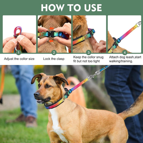 Martingale Collar for Dog, No Pull Walking Training Collar, Adjustable Tactical with Heavy Duty Metal Buckle