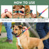 Martingale Collar for Dog, No Pull Walking Training Collar, Adjustable Tactical with Heavy Duty Metal Buckle