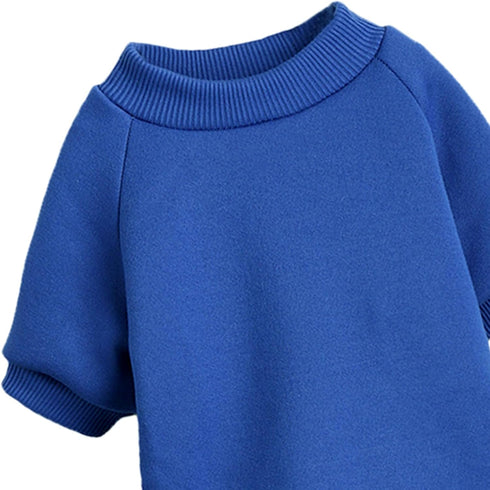 Puppy Sweater for Small Dogs, Warm Winter Cat Clothes, Knitwear Pet Sweatshirt, Medium Blue Doggie Kitten Clothing