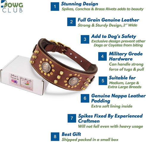 Punk Series Genuine Leather Dog Collar | Full Grain, Heavy Duty, Stylish, Comfortable for Medium, Large, XL Breeds (L)