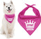 Parisian Pet Drama Queen Dog Bandana - Small
