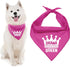 Parisian Pet Drama Queen Dog Bandana - Small